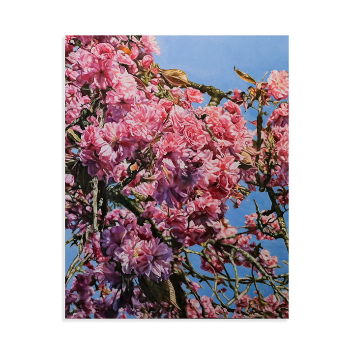 Cherry Blossoms I