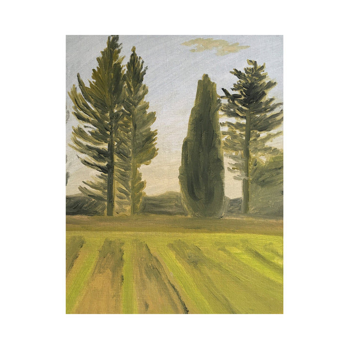 Trees at the end of a Field at Dusk, Maussane #25