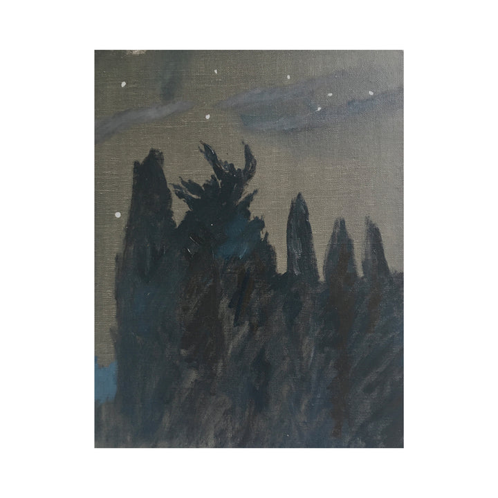 Trees at Night, Maussane #35