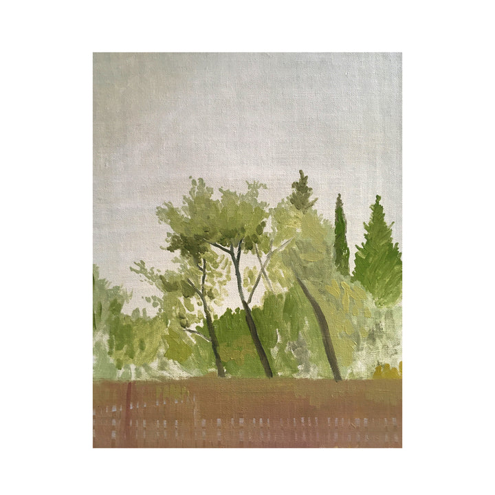 Tree Study #21 Maussane