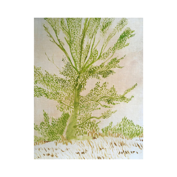 Tree Study #40 Maussane
