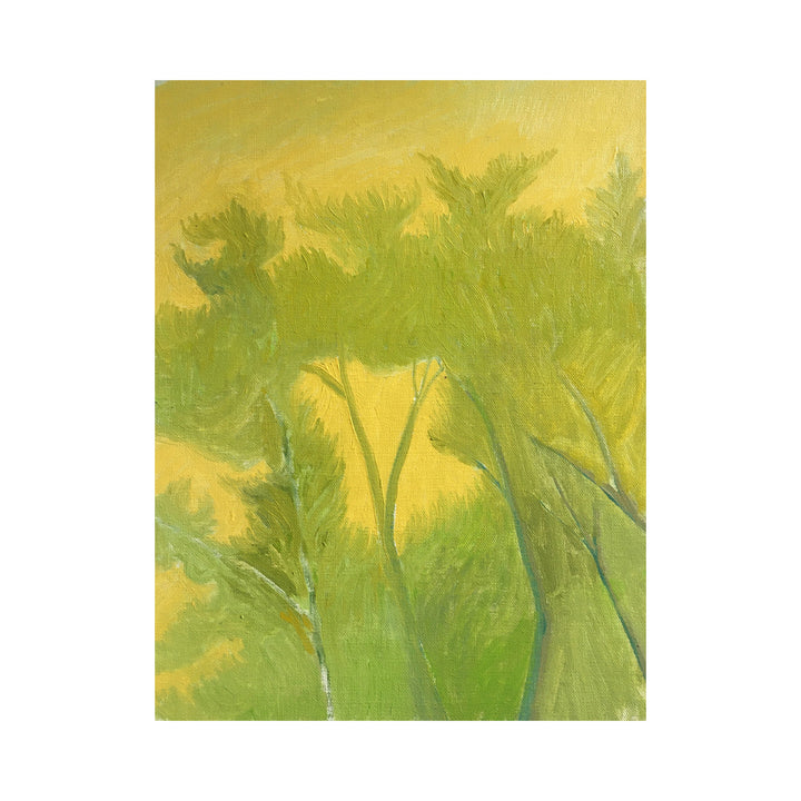 Tree Study, Maussane #34