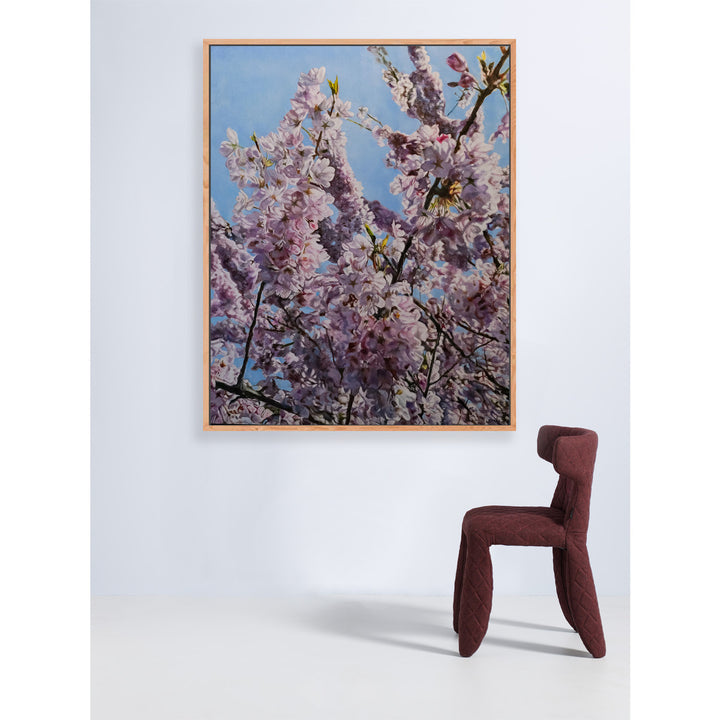 Cherry Blossoms II