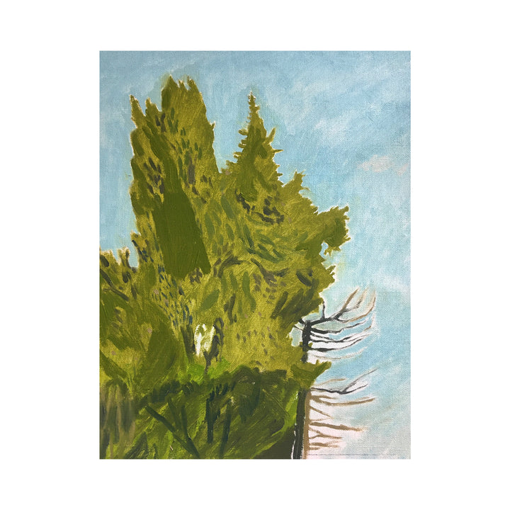 Tree Study Midday, Maussane #28