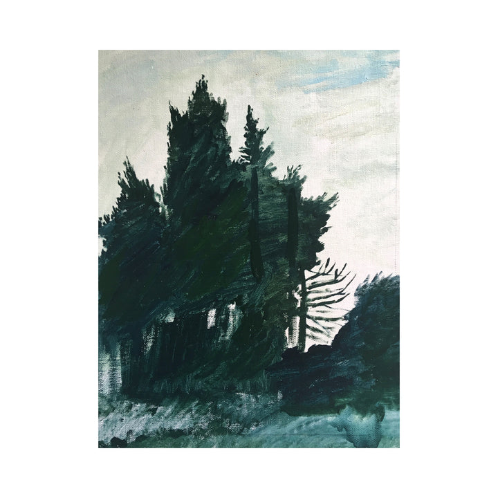 Trees After Sunset, Maussane #27