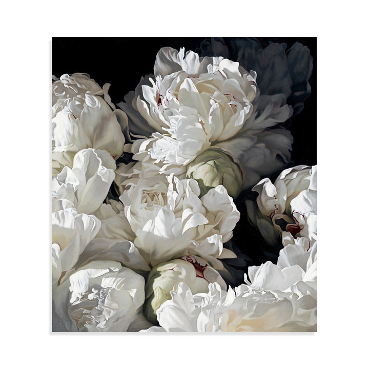 Peonies 1026