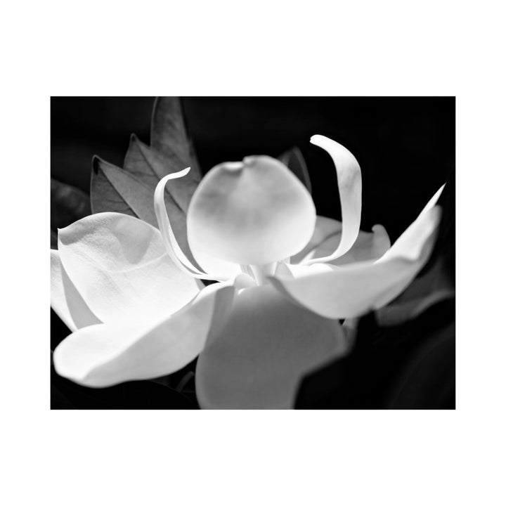 Reaching for the Sun