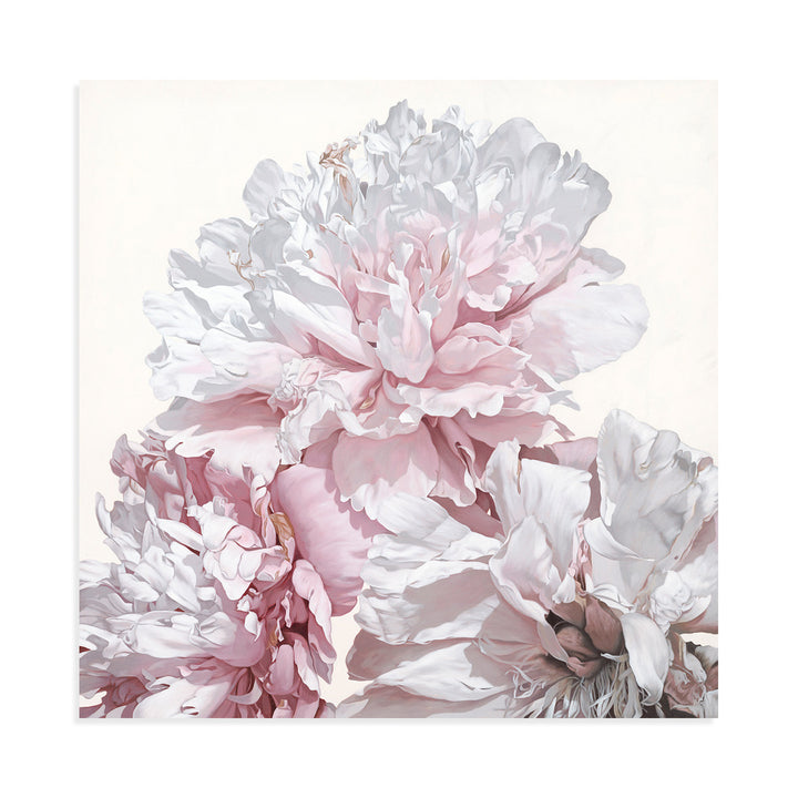 Peonies 1126