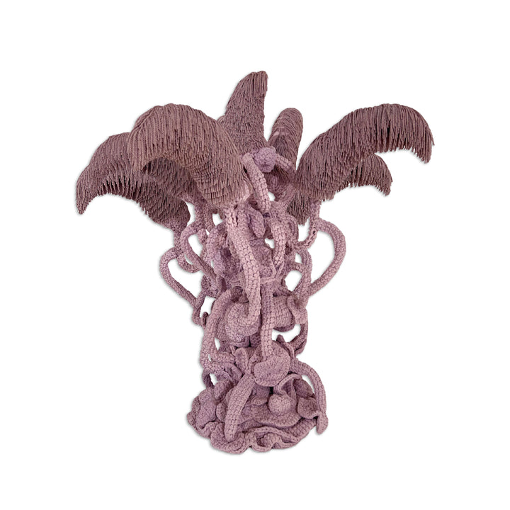 Corallarbra