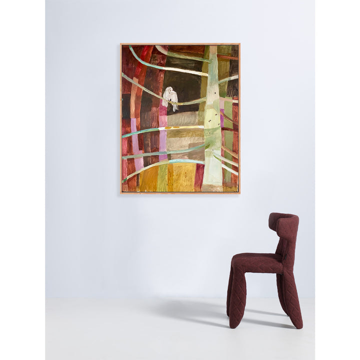 Cozying up in the Bunya