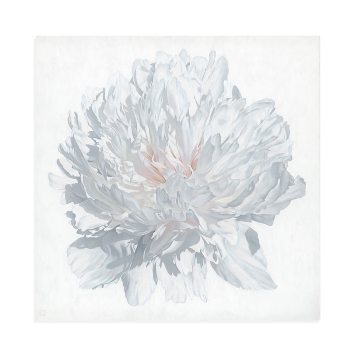 Peony Portrait 1826