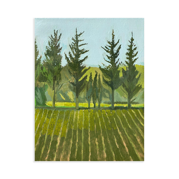 Trees at the end of a field, Maussane ii