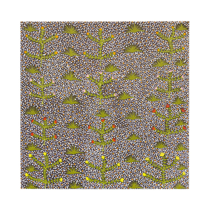 Bush Medicine Plants