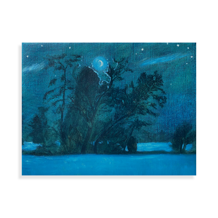 Night scene, view from chateau de la carrière