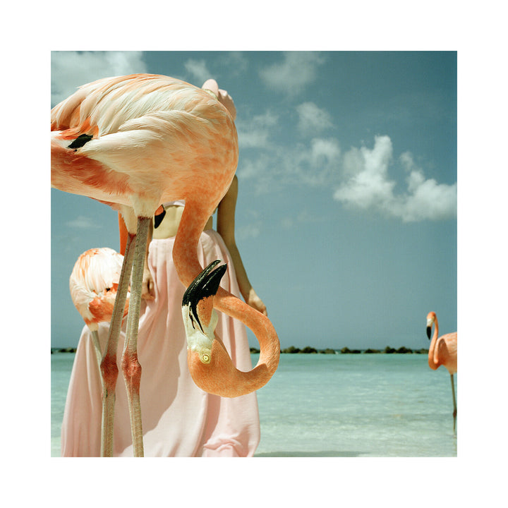 Annelie Vandendael is a photographer born in Belgium and raised in France. Inspired by the tendency of fashion photography to manipulate subjects and the human body, and believing that this process of falsifying feminine beauty is extremely damaging, she seeks to represent real, authentic people, keeping intact their imperfection.
