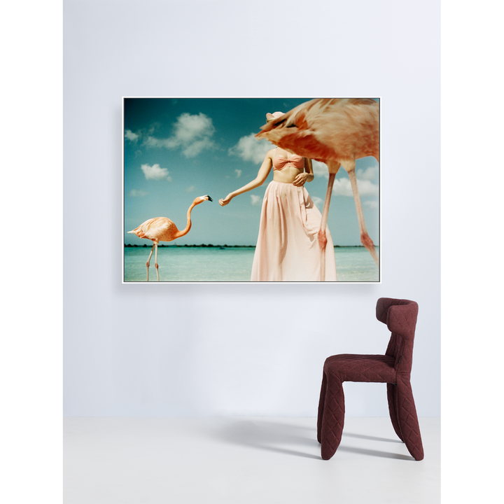 Flamingo 3