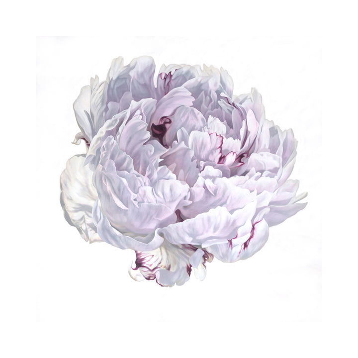 My journey through a life in art has taken me to many places, literally and figuratively. From fine bird illustrations from my origins in Africa, to Australia, and large botanical oil and acrylic paintings on canvas.