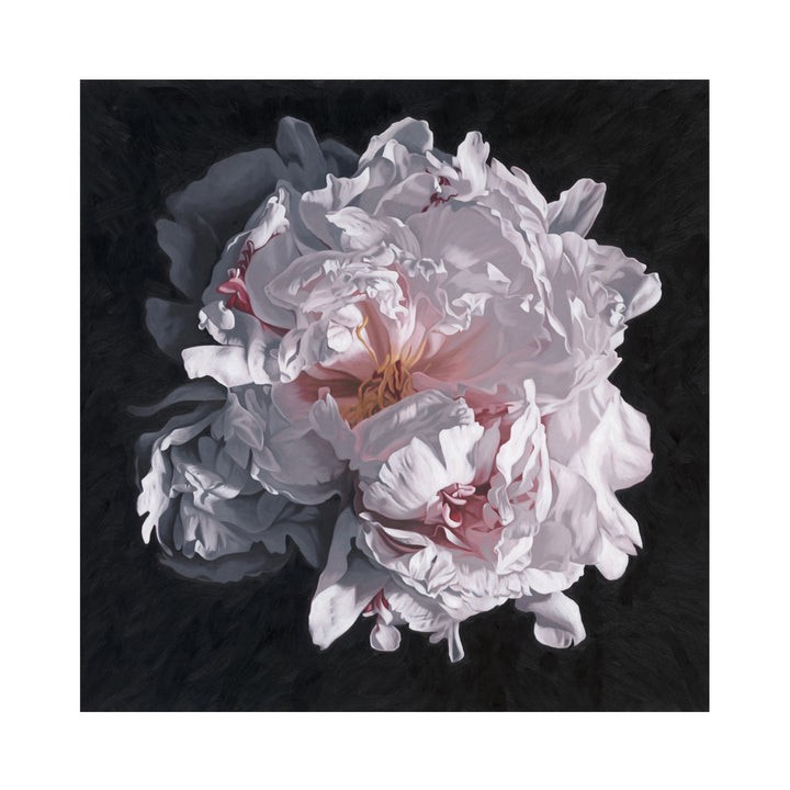 Peony Portrait 0822