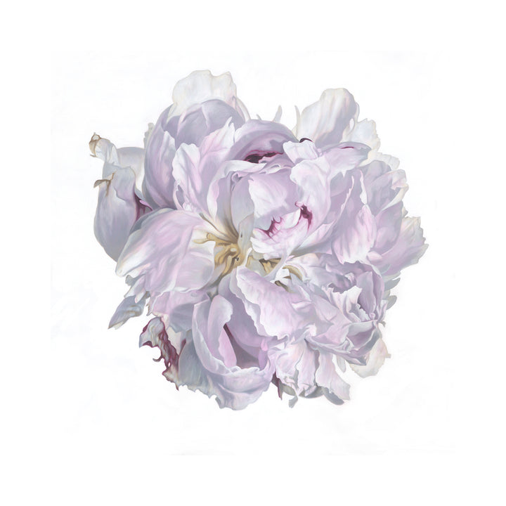 My journey through a life in art has taken me to many places, literally and figuratively. From fine bird illustrations from my origins in Africa, to Australia, and large botanical oil and acrylic paintings on canvas.