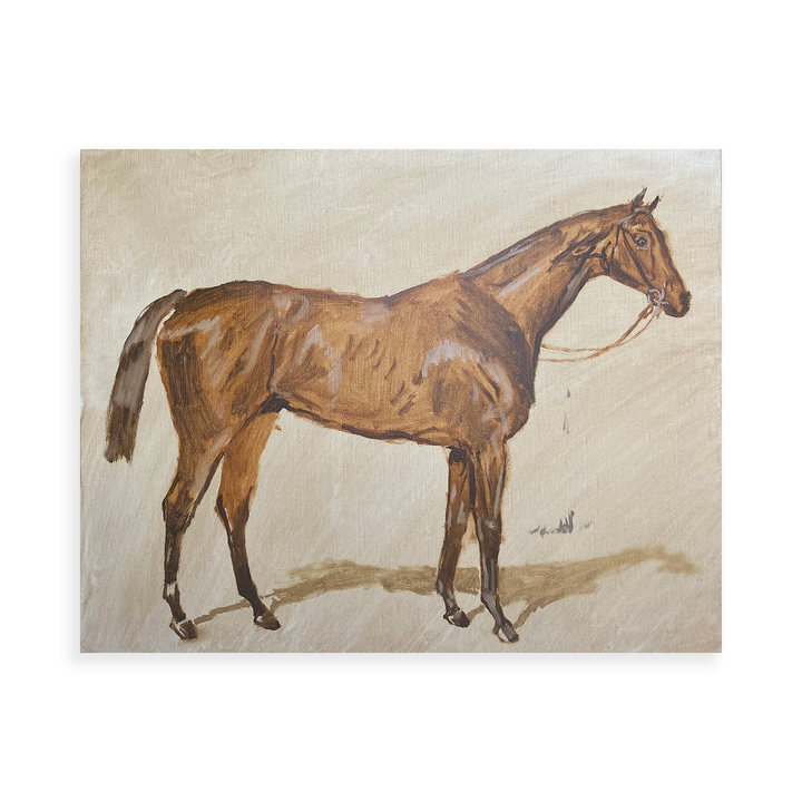 Equine Study