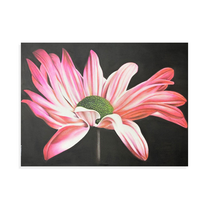 Wild Flower