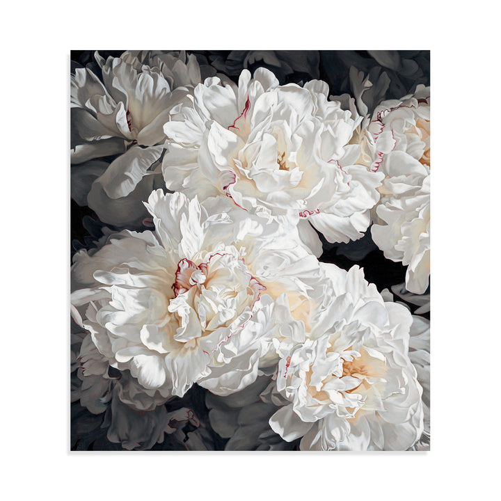 Peonies 1226