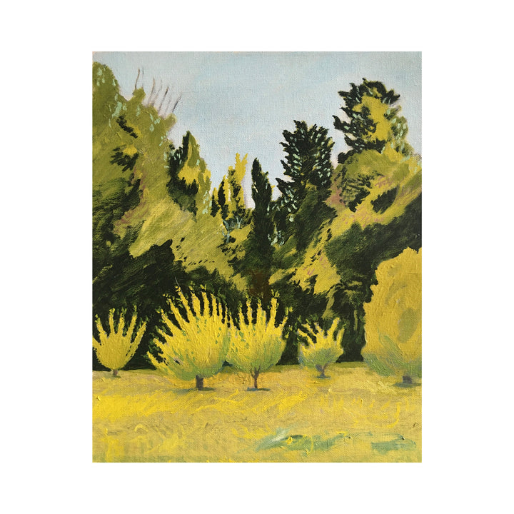 The Orchard, Maussane #4