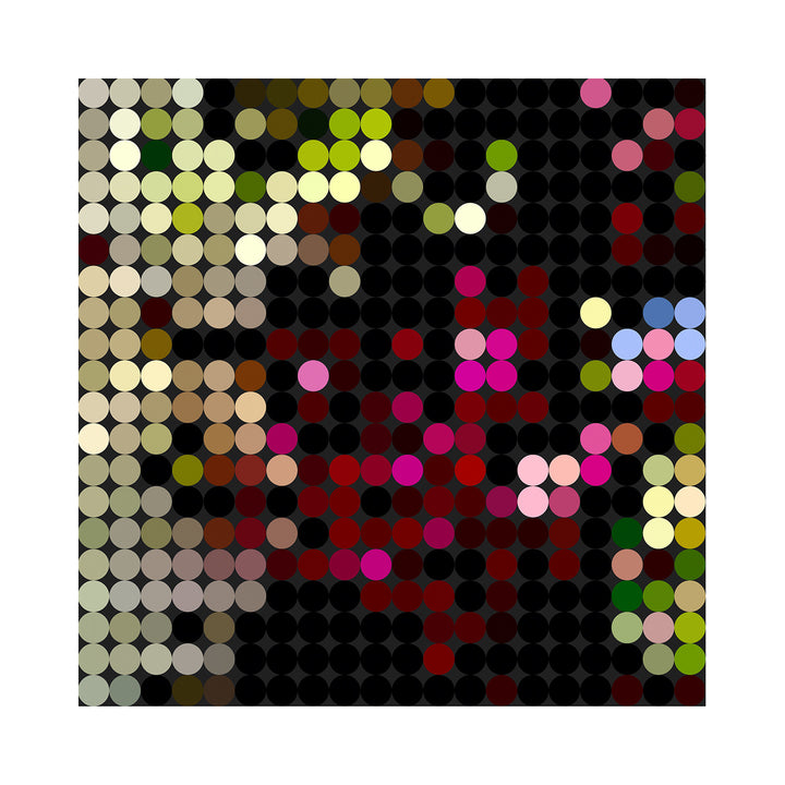 I See Flowers ii