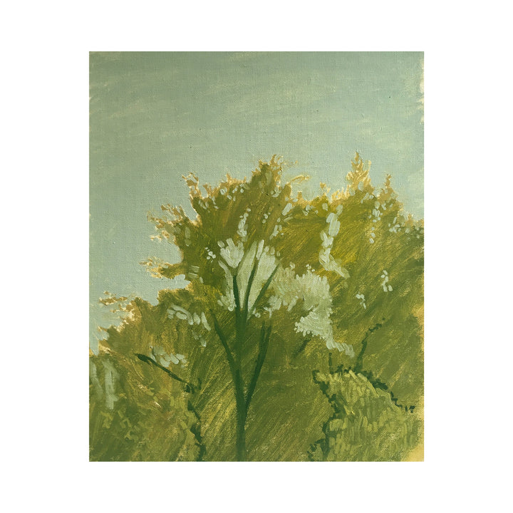 Tree Study, Maussane #22