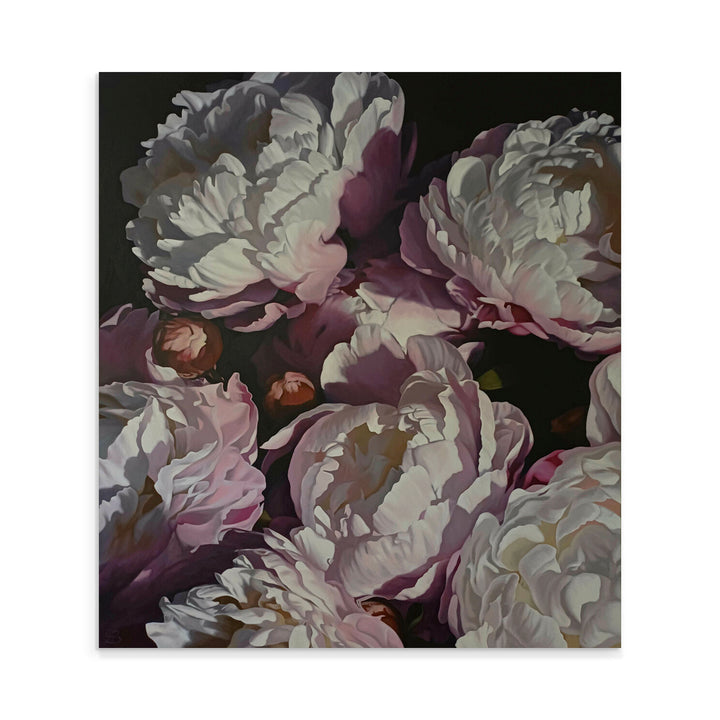 Peonies 2025