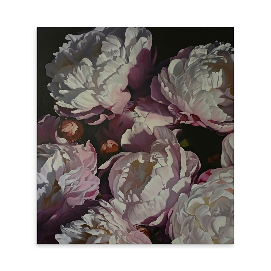 Peonies 2025