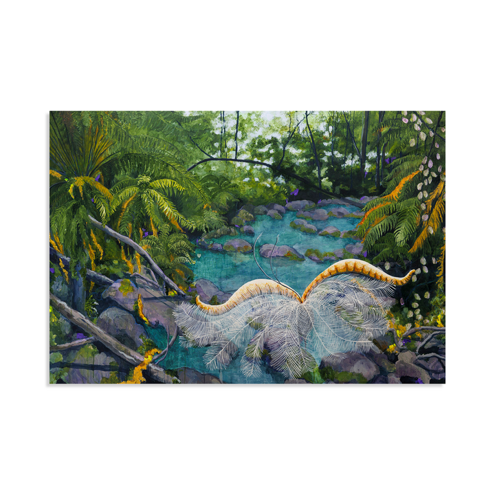 The Lyrebird and the Rainforest