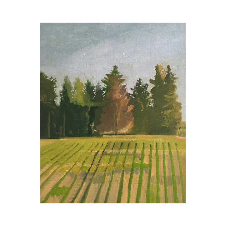 Trees at the end of a Field, Maussane #23
