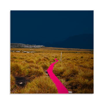 Road 3: Pink