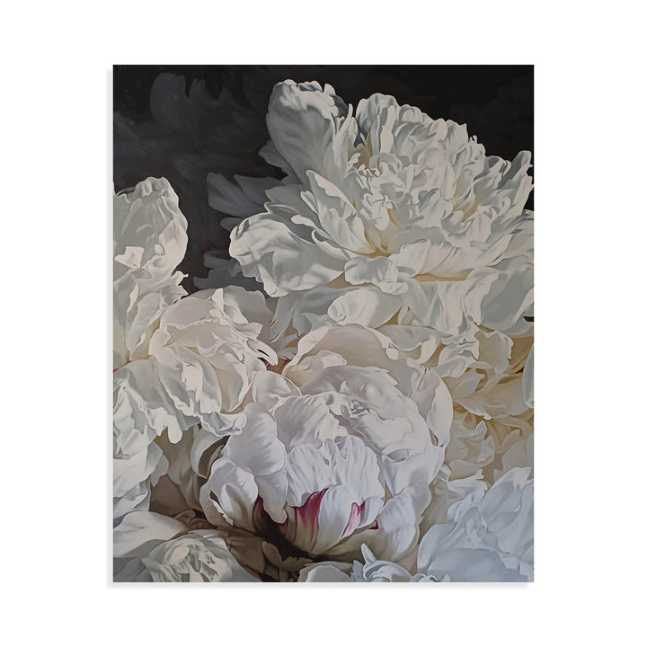 Peonies 2026