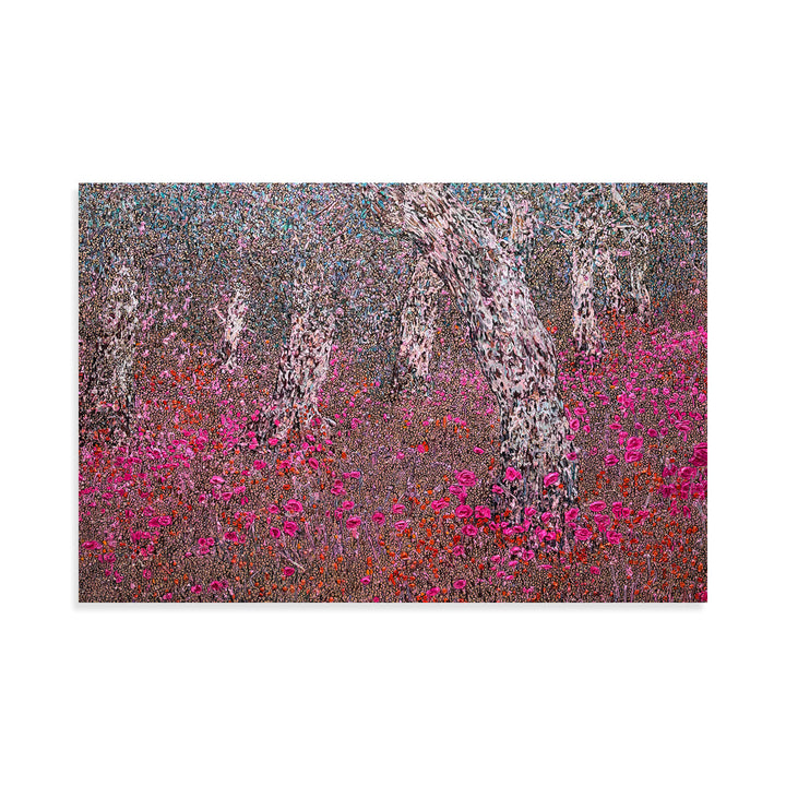 Star Seeds of Light and Fire