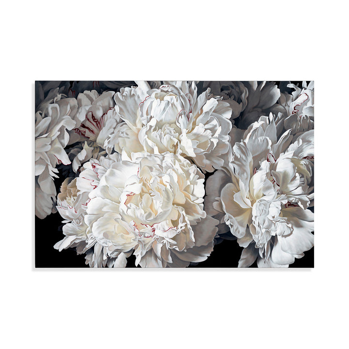 Peonies 0926