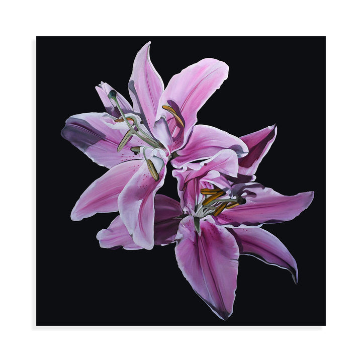 Lillies