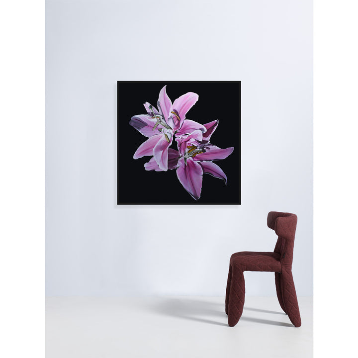 Lillies