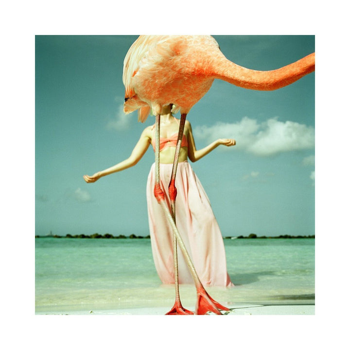 Flamingo 2
