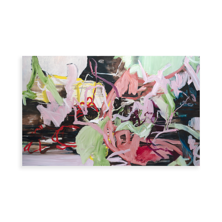 Sunshine and Mt Pomona