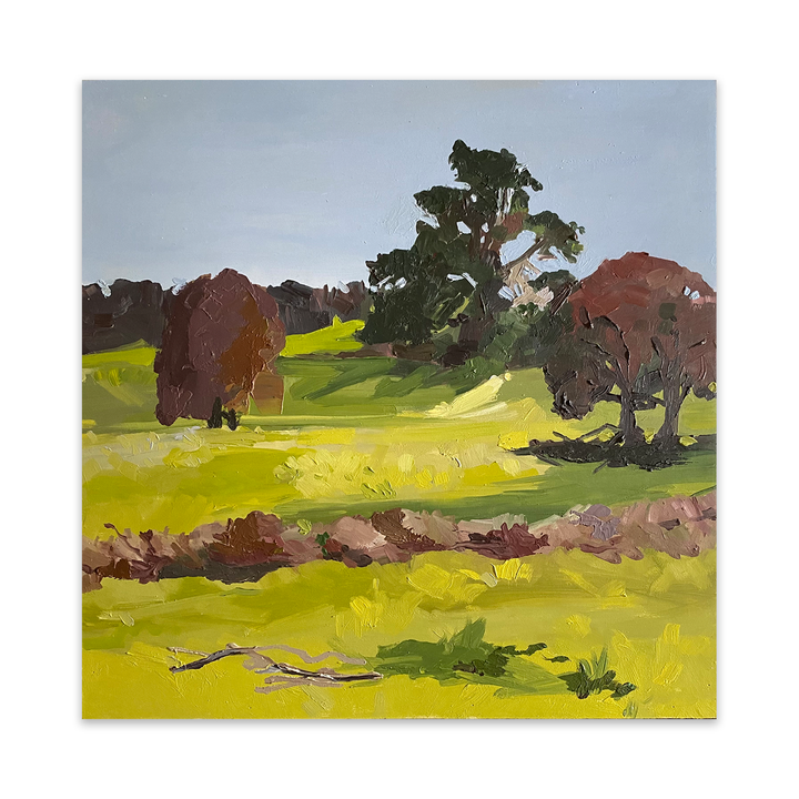 The Back Paddock