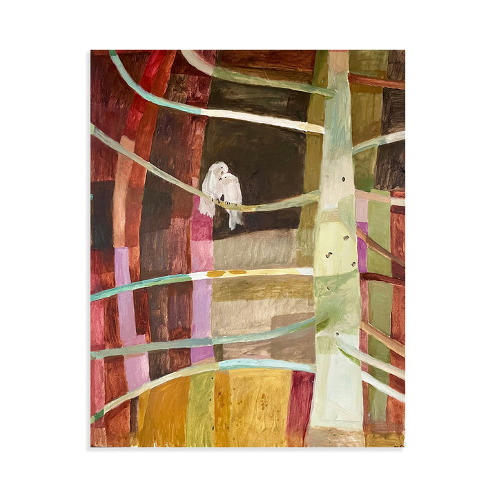 Cozying up in the Bunya