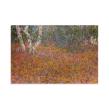 Where Shadows Dance II