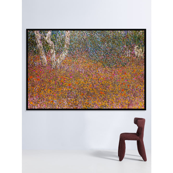 Where Shadows Dance II