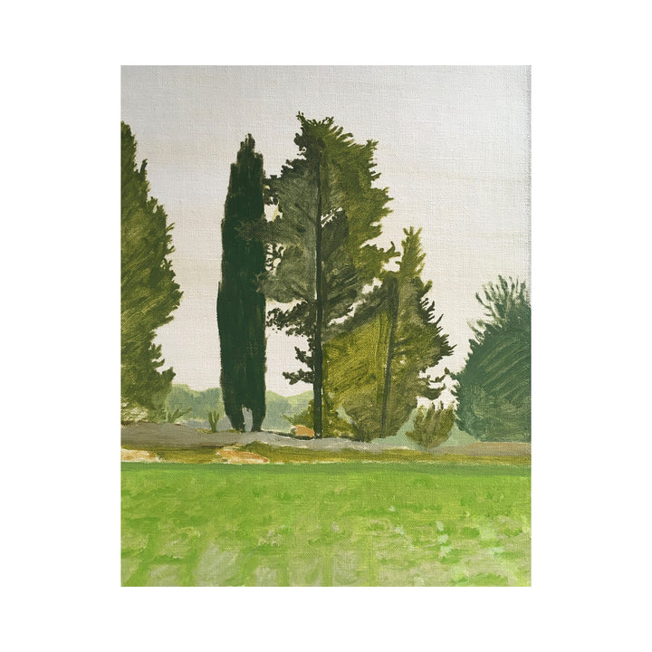 Trees at the end of a Field, Maussane #38