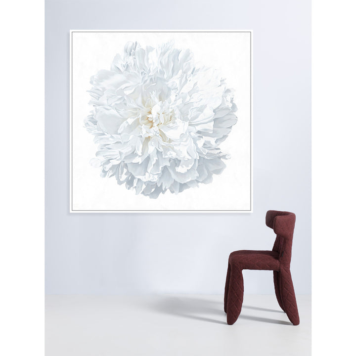 Peony Portrait 1526