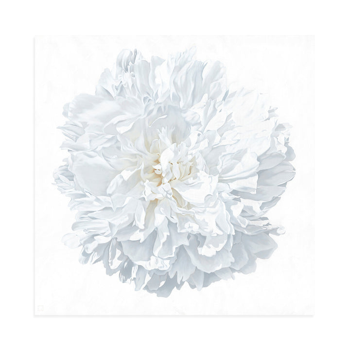 Peony Portrait 1526