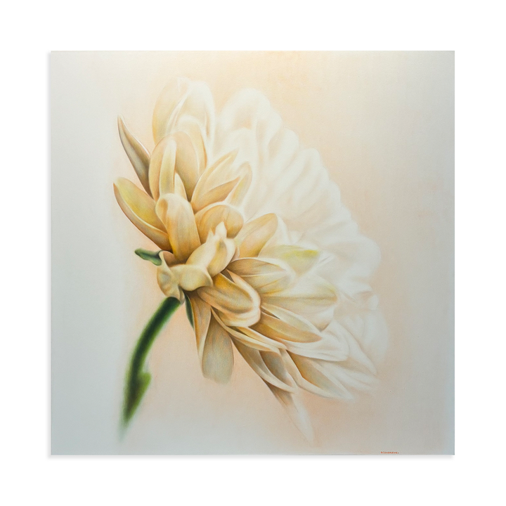 Morning Bloom