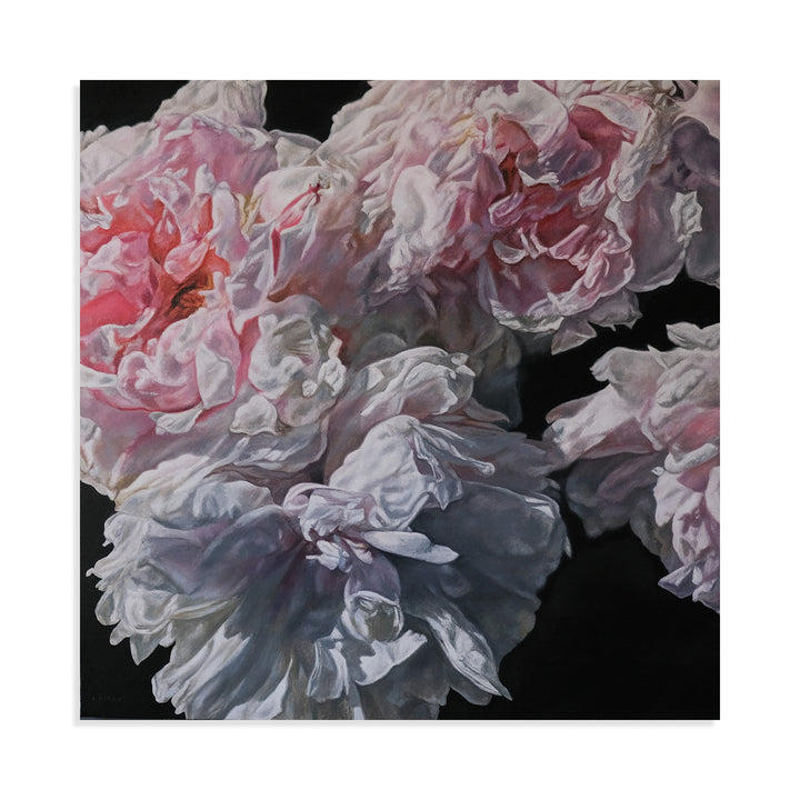 White Peonies